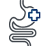 Digestive Health